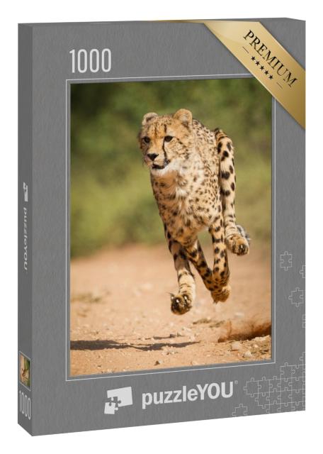 Puzzle 1000 Teile „Schneller Gepard, Kruger Park, Südfrika“