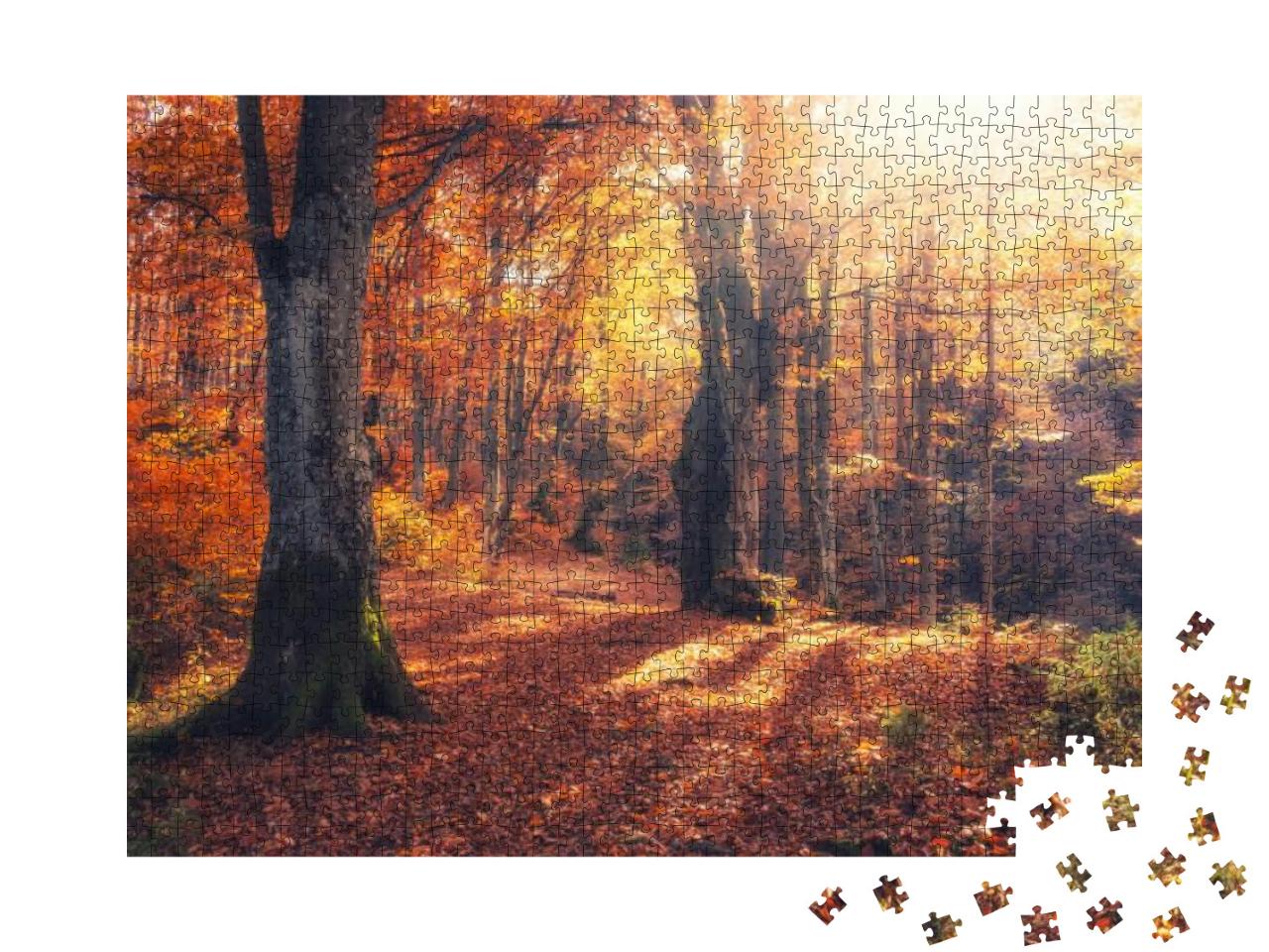 Puzzle 1000 Teile „Herbstlicher Wald: Herbstmorgen im bunten Wald mit Sonnenstrahlen“