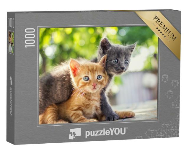 Puzzle 1000 Teile „Zwei bezaubernde Kätzchen spielen“