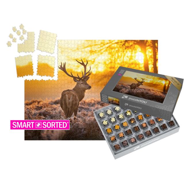 SMART SORTED® Puzzle 1000 Teile „Rothirsch in der Morgensonne“