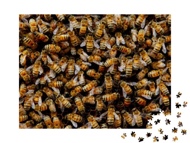 Puzzle 1000 Teile „Ein schwärmendes Bienenvolk versammelt sich um seine Königin“