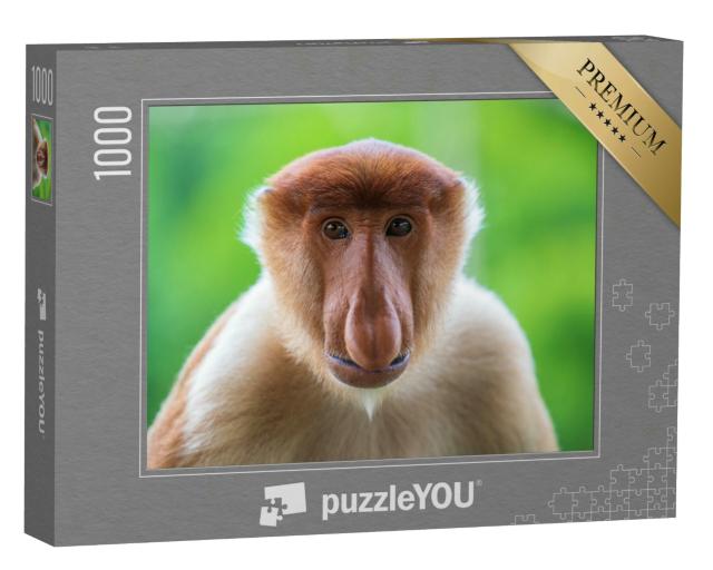 Puzzle 1000 Teile „Proboscis-Affe oder Nasalis larvatus auf Borneo“