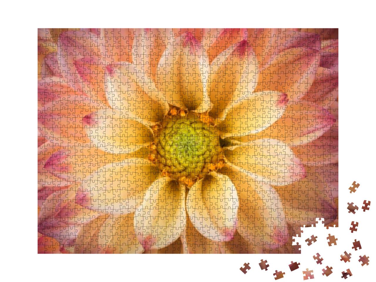 Puzzle 1000 Teile „Dahlie: bunte Blume als Makroaufnahme“